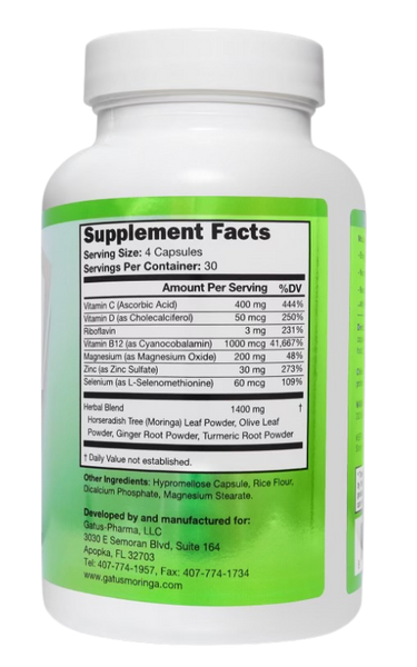 moringa-bac